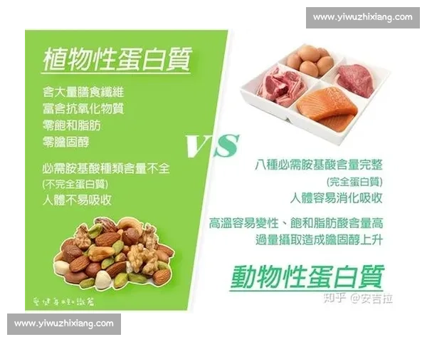 蛋白质补充的重要性与选择：如何根据需求合理摄入蛋白质