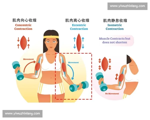 高效提升运动表现的多种训练方法与技巧解析