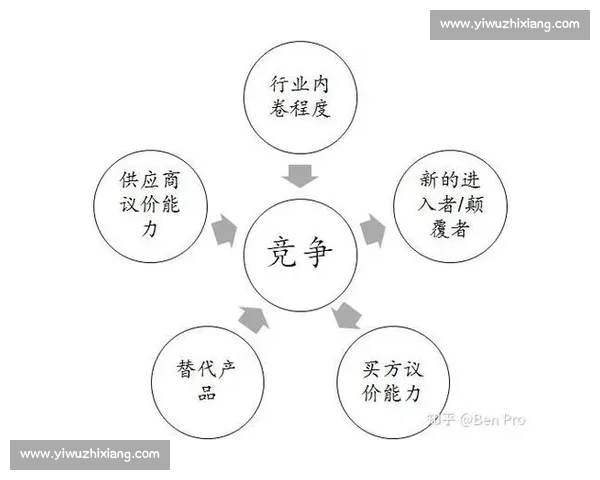 体育营销驱动品牌增长路径与粉丝经济融合创新实践策略分析与案例探讨